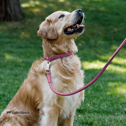 Handmade Soft Padded Rolled Leather Dog Collar for Small to Large Dogs and Cats, Available in Black, Pink, Red, Purple, and Blue (Total Length 9", Pink)