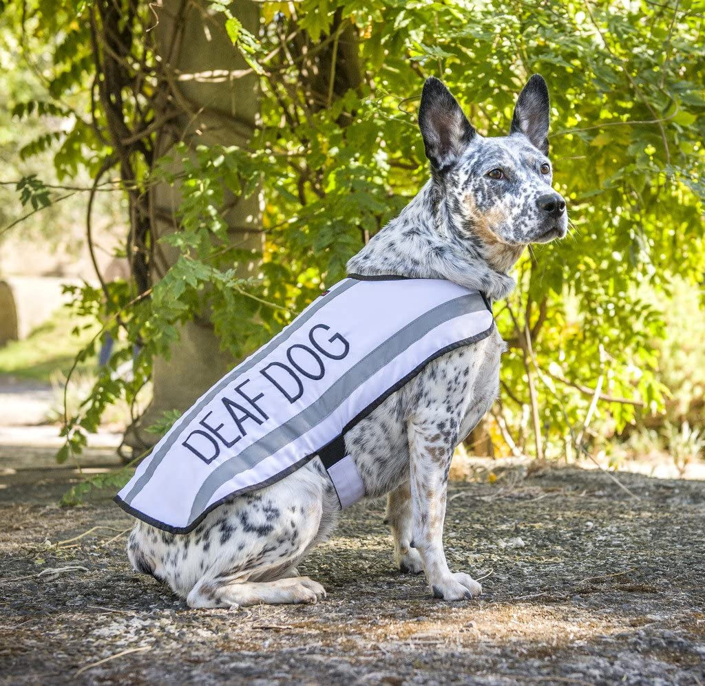 Premium Waterproof Reflective Fleece-Lined Dog Coat for Deaf Dogs - Available in Sizes S to XL, Prevents Accidents by Alerting Others (M-L Back Length 17" / 43 cm)