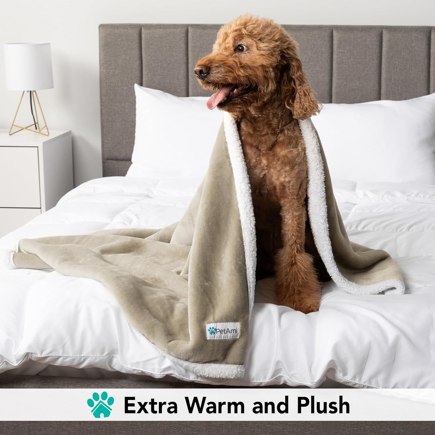 Extra Large Reversible Fleece Dog Blanket - Washable Sherpa Throw for Furniture, Sofa, Car, and Crate - Twin Size 60x80 in Taupe