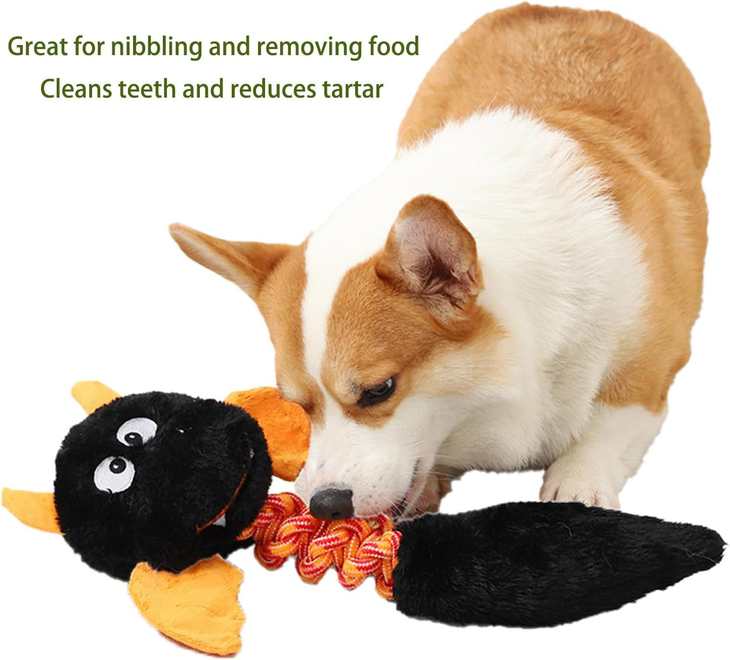 Premium Plush Squeaky Toys for Dogs and Cats - Ideal for Large and Small Breeds