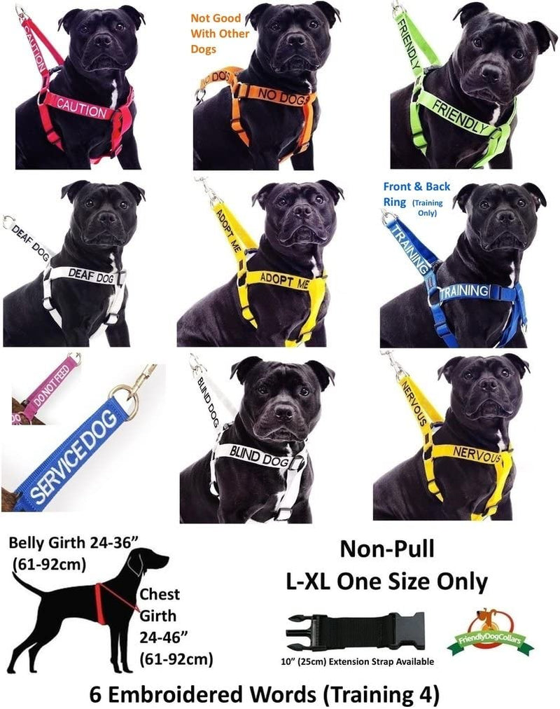 Premium Waterproof Reflective Fleece-Lined Dog Coat for Deaf Dogs - Available in Sizes S to XL, Prevents Accidents by Alerting Others (M-L Back Length 17" / 43 cm)