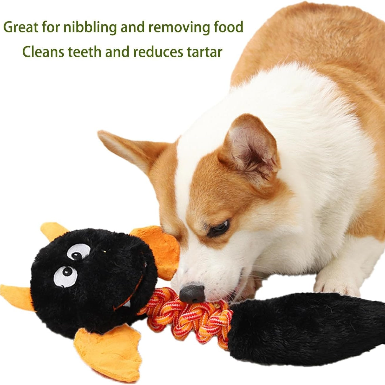 Premium Plush Squeaky Toys for Dogs and Cats - Ideal for Large and Small Breeds