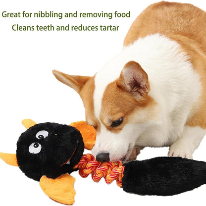 Premium Plush Squeaky Toys for Dogs and Cats - Ideal for Large and Small Breeds