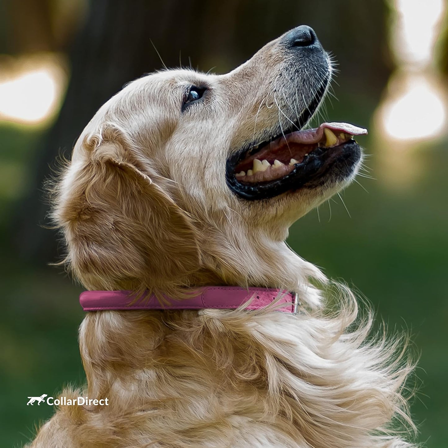 Handmade Soft Padded Rolled Leather Dog Collar for Small to Large Dogs and Cats, Available in Black, Pink, Red, Purple, and Blue (Total Length 9", Pink)